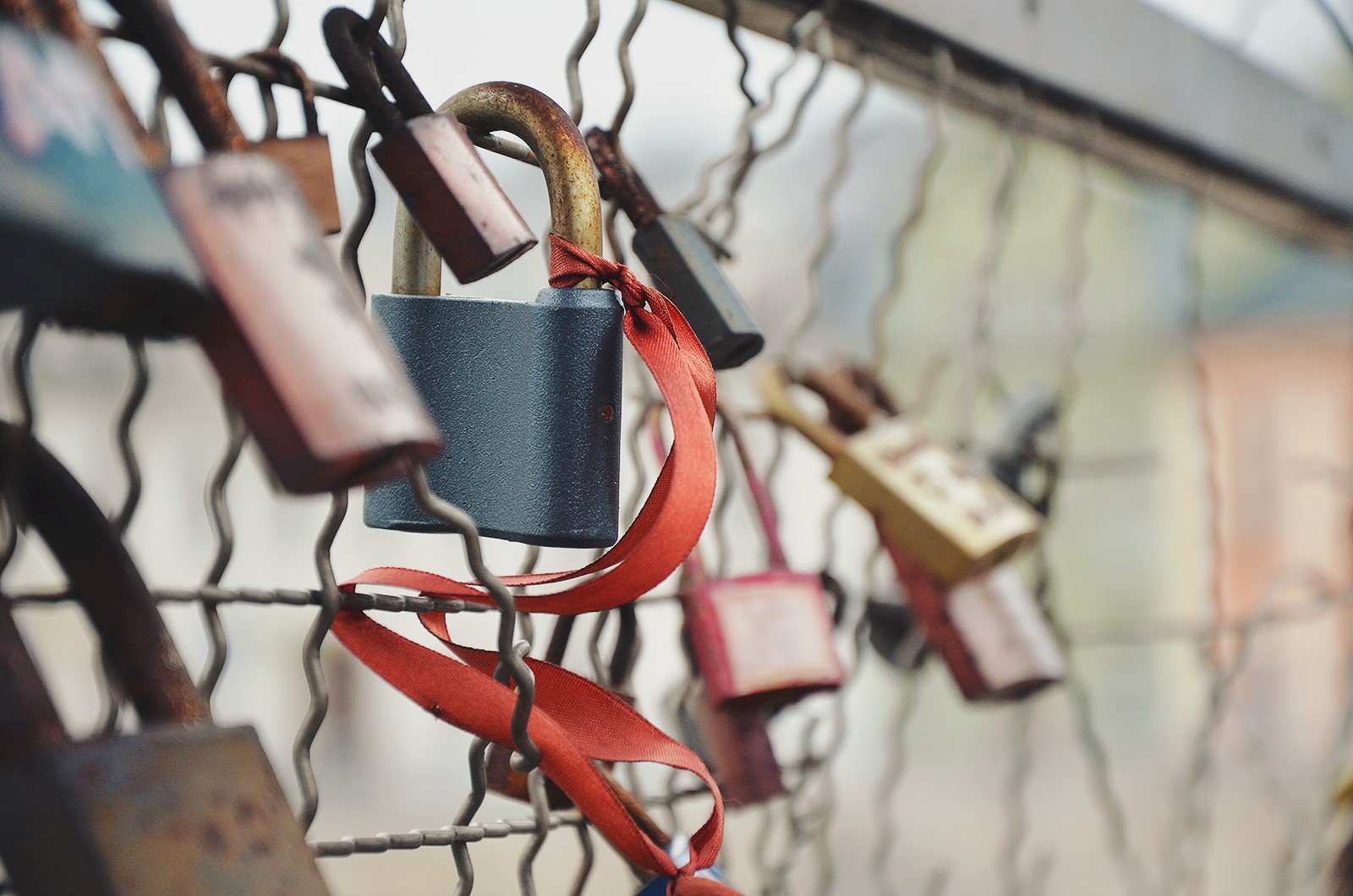 Locks on a gate